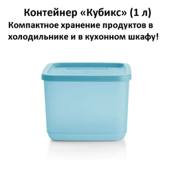 Контейнер "Кубикс" 1 л. голубой