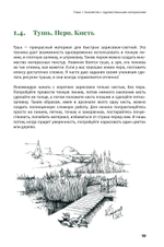 Рисунок для ландшафтного дизайнера. Сперанская А.
