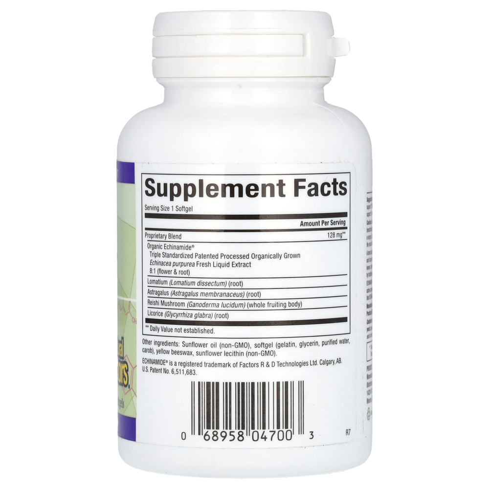 Natural Factors, Anti-V Formula, с клинически подтвержденным эхинамидом, 60 капсул