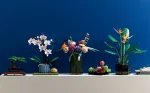 Конструктор LEGO Botanical Collection 10311 Орхидея