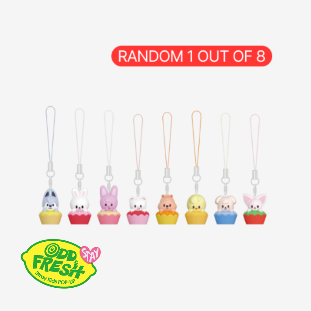 Секретный мини-брелок SKZOO ODD & FRESH POP-UP - SKZOO SECRET MINI CHARM