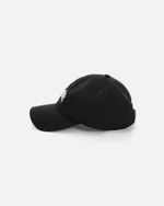Кепка Anteater 6Panel Черный