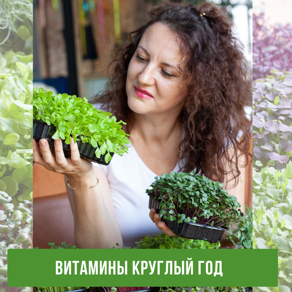 Агровата для выращивания микрозелени набор 100 шт / 16,5*10*1 см /субстрат для выращивания микрозелени и растений