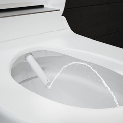 Электронный унитаз Geberit AquaClean Tuma Comfort 146.294.SI.1 (панель белое стекло)