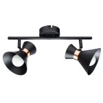 Спот Arte Lamp BALTIMORE A1406AP-2BK, 2хE14