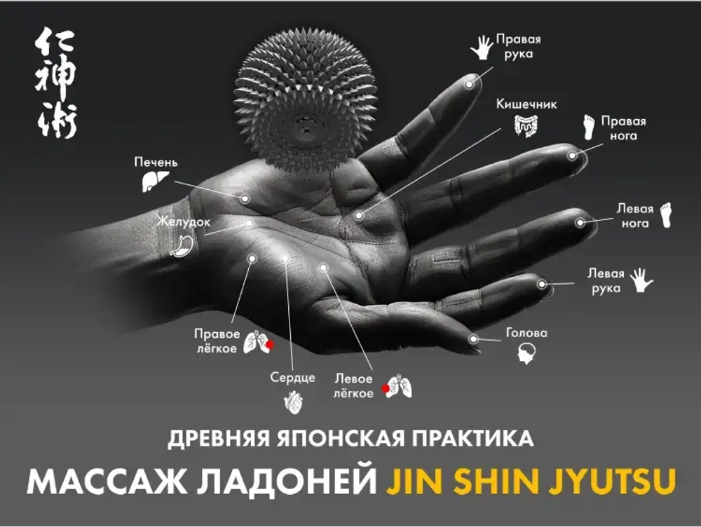 Массажное кресло FUJIMO 氣 Combat 4D Коричневый