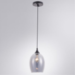 Подвесной светильник Arte Lamp PROPUS A4344SP-1BK