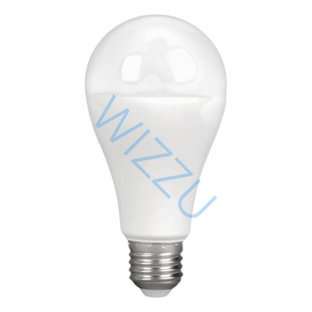 Fibonacci Светодиодная (LED) лампа A65-25W/6000/E27 1сп/10шт (холодный свет)