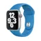Ремешок Gurdini Спортивный для Apple Watch 42 / 44 mm Голубой