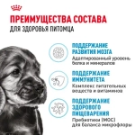 ROYAL CANIN Mini Puppy Корм сухой для щенков мелких пород в возрасте 2-10 месяцев, 800 г