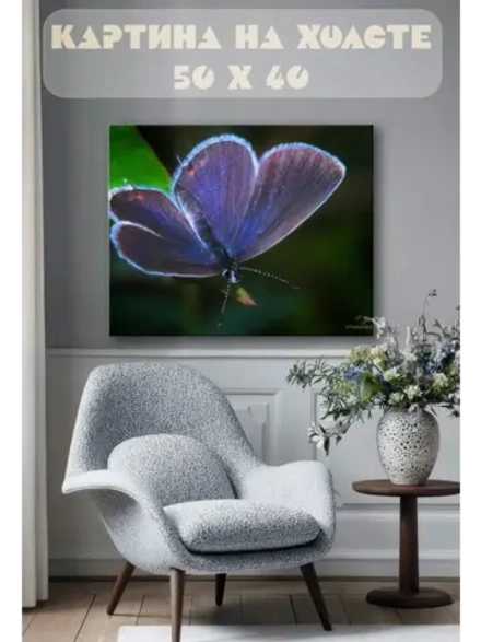 Картина на стену 40 X 50 Бабочка