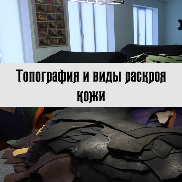 Топография и виды раскроя кожи Топография и виды раскроя кожи