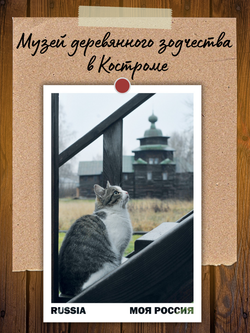 Моя Россия. Коты