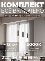 Комплект трековый Hesby Lighting Skylite No12 HSBL_kompl_S012_NI1B3K