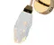 ft0ty8iwwbllb3xldf5u2fbmm1chzy8x_559164881.jpg