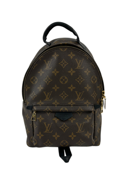 Рюкзак Louis Vuitton Palm Springs Mini