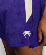 Шорты ММА Roger Gracie Academy by Venum Purple