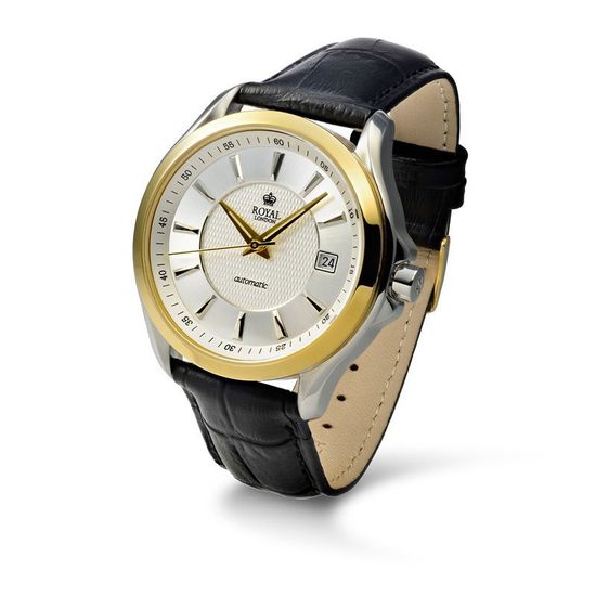 мужские часы Royal London 41176-03