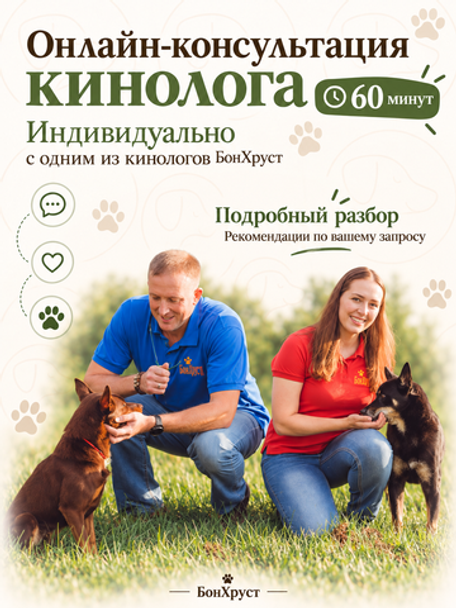 Онлайн-консультация кинолога, 60 минут