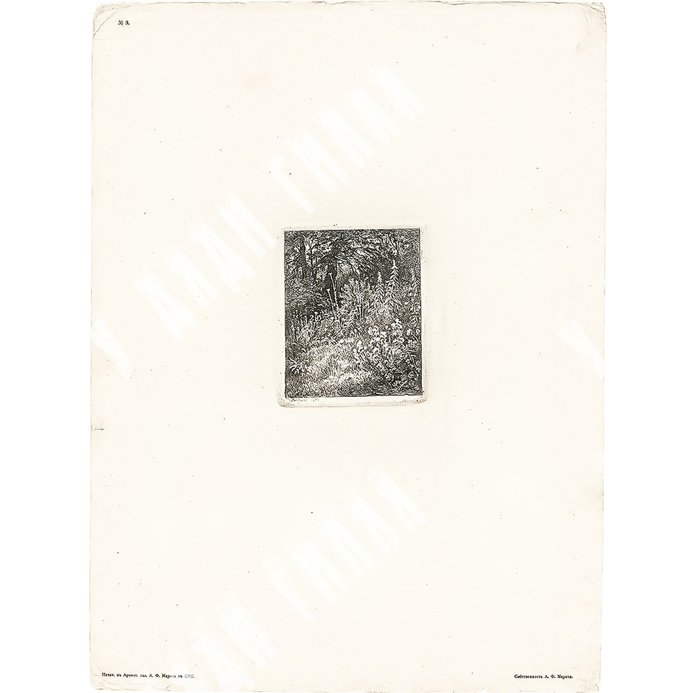 Шишкин И. И. Лесные цветы. Бумага, офорт. 1873.