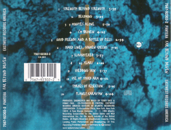 Pantera — Far Beyond Driven (CD)