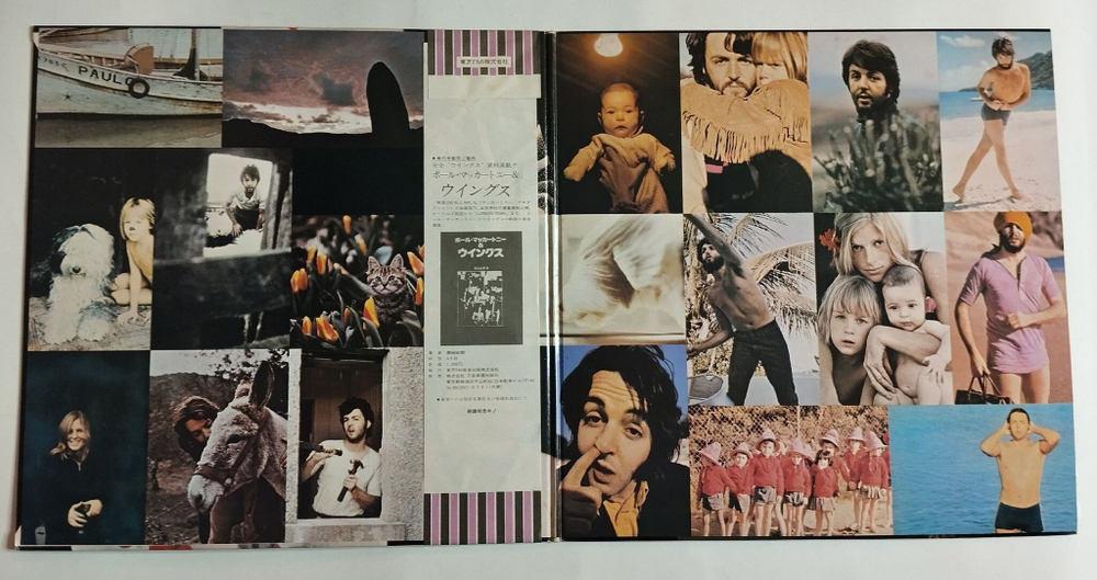 Винтажная виниловая пластинка LP Paul McCartney (Japan 1975) (Obi)