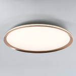 Потолочный cветильник LED4U L3020-600 GD