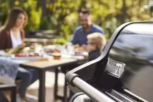 Газовый гриль Weber Spirit E-315 GBS, 3 горелки