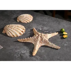 Блюдо для подачи 13*12 см h3 см 50 мл емкость для закусок Pearl Shell Frutti di Mare P.L. [1]