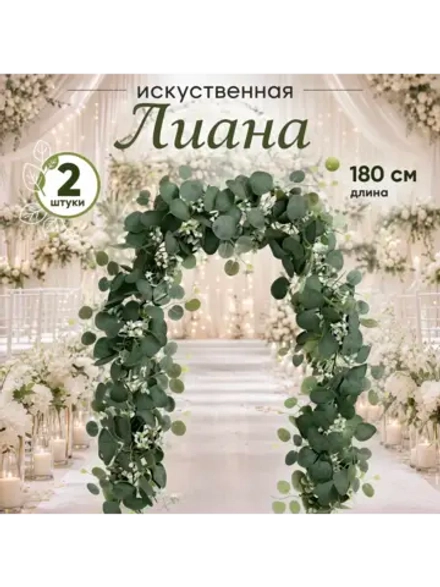 Лиана Эвкалипт папоротник