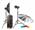 Комплект студийного света Godox E250-F, 2х250 Дж