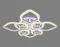 Потолочная люстра Acrylica Ice FA283 Ambrella