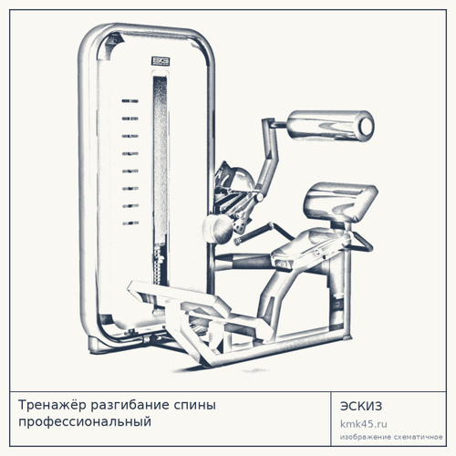 Тренажёр разгибание спины профессиональный — от 142 000 ₽