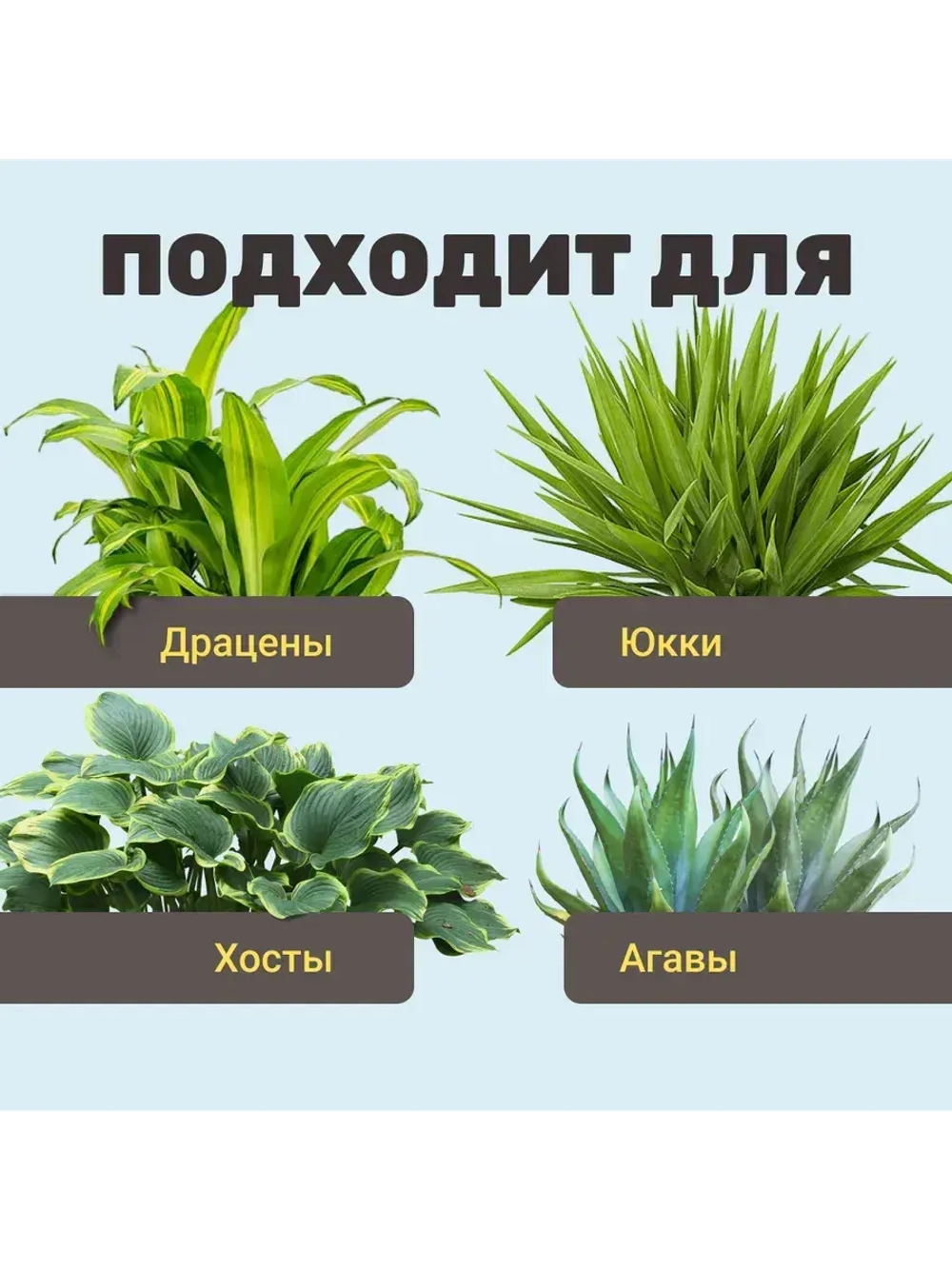 Органический грунт для драцены и юкки 5 л