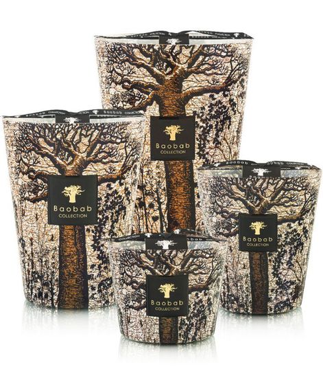 Morondo, свеча MAX 16 Sacred Trees collection, Baobab Collection