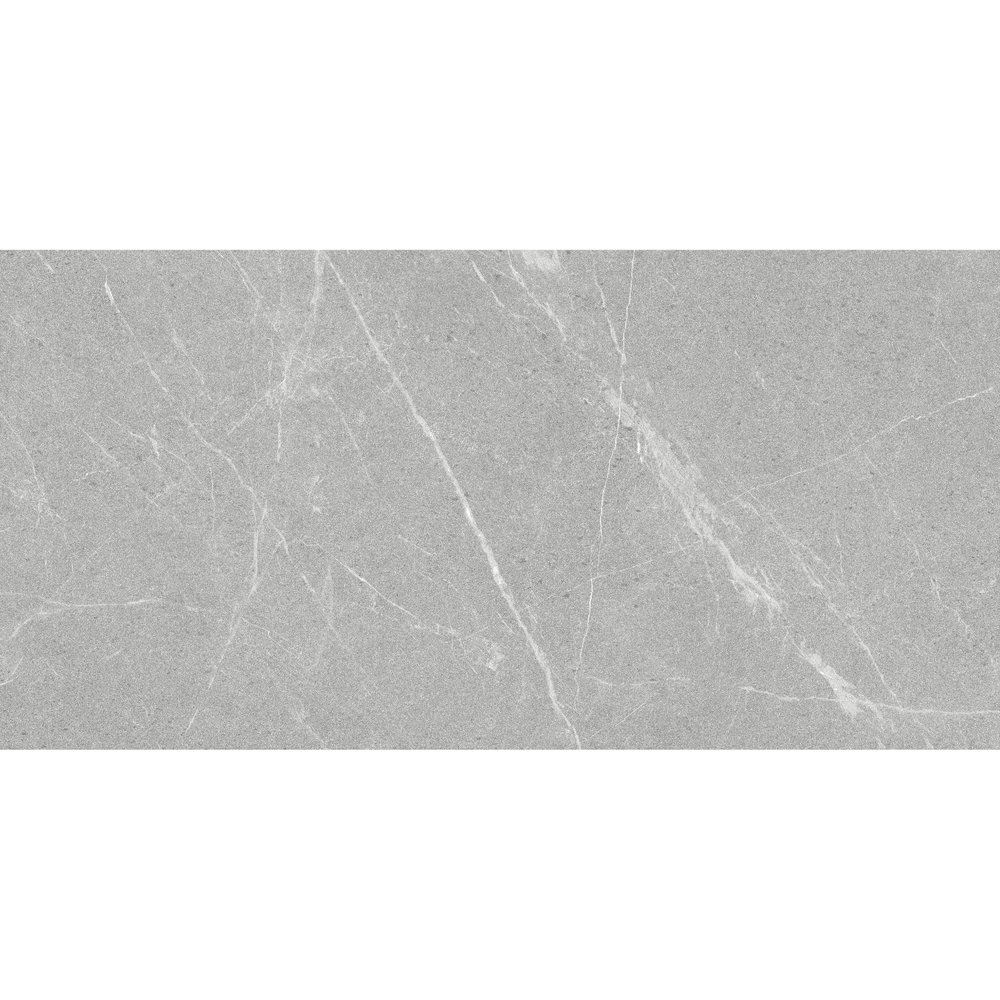Staro Antislip DAKOTA GRIS 60x120