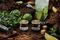 WTO Caribbean Blend - CB26 Мохито (250г)