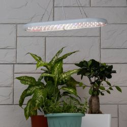 Светильник для растений ЭРА FITO-25W-QLED-FLY подвесной полного спектра 25 Вт | Интерьерные фито светильники