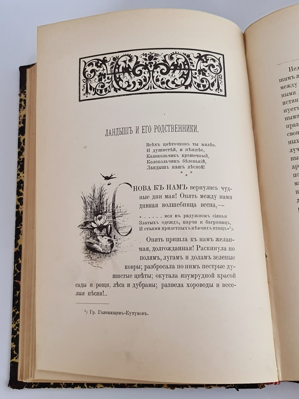 "Из зеленого царства. Популярные очерки из мира растений". Д.Н.Кайгородов. 1902г.