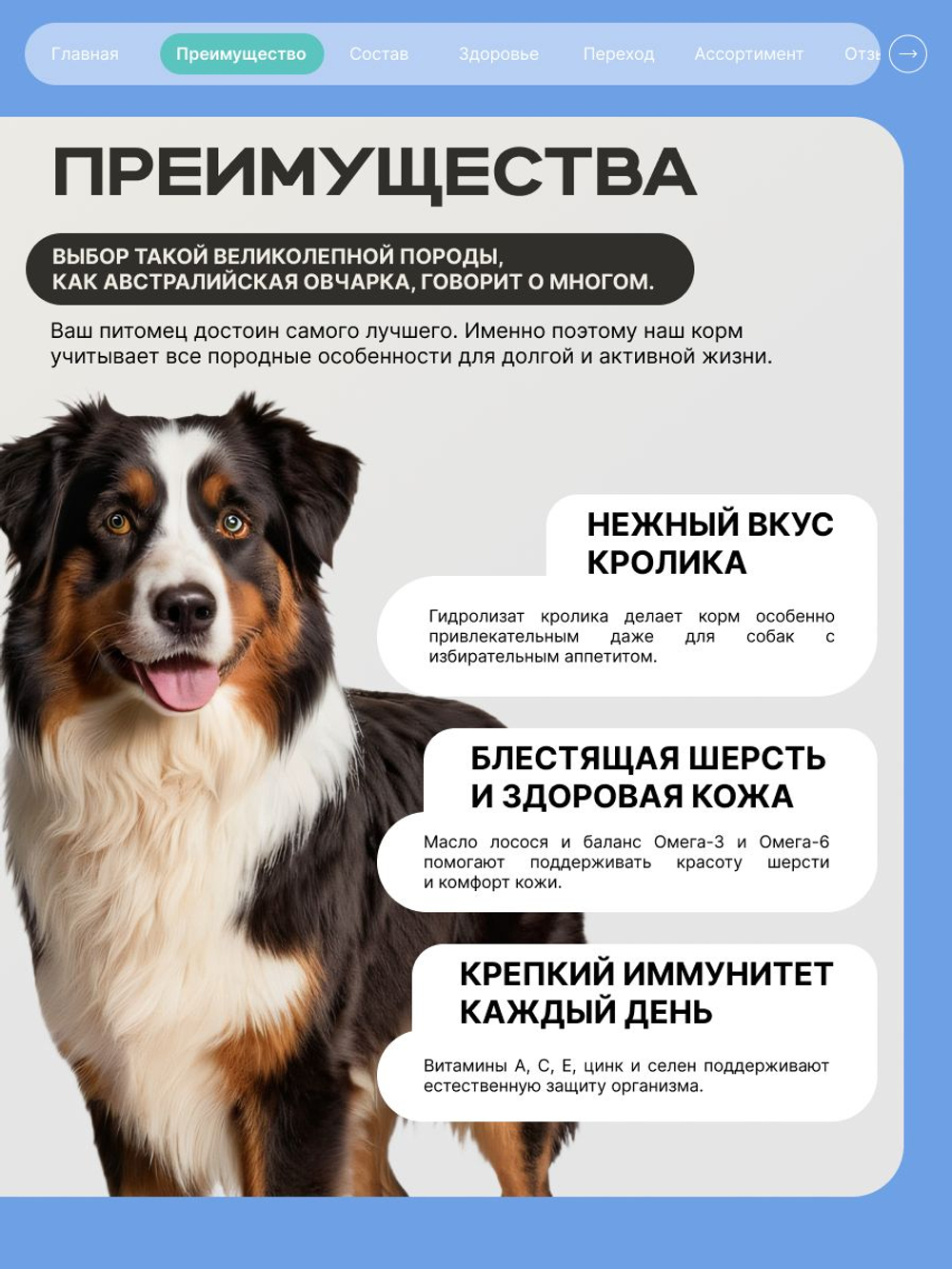 Корм для взрослых собак породы Австралийская овчарка, с кроликом, 3 кг, QUATTRO
