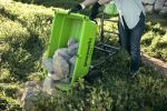 Аккумуляторная самоходная садовая тележка Greenwork G40GCK6,7400007UG, 40v, 106 л, АКБ 5 А·ч и ЗУ