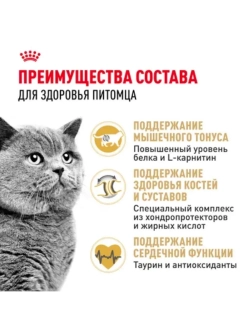 British Shorthair Корм для кошек 2кг