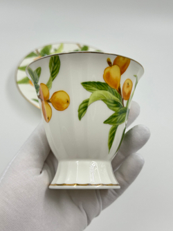 Чайная пара Noritake