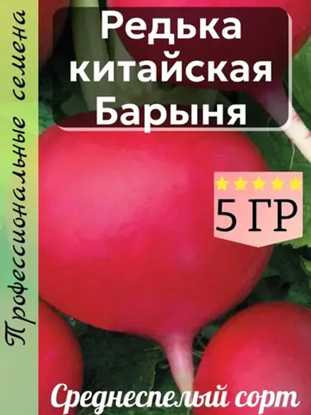 Семена редька китайская Барыня 5 гр