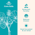 Organic India, Готу кола, 90 вегетарианских капсул (350 мг на капсулу)