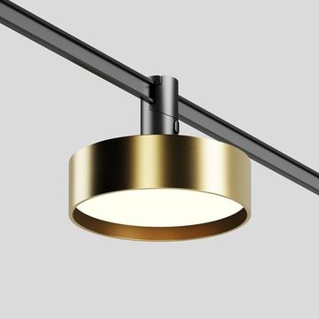 Магнитный трековый светодиодный светильник 12W 3000К 48V TR204-1-12W3K-BBS латунь Zon Flexity Maytoni
