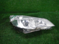 DSCN9019.JPG