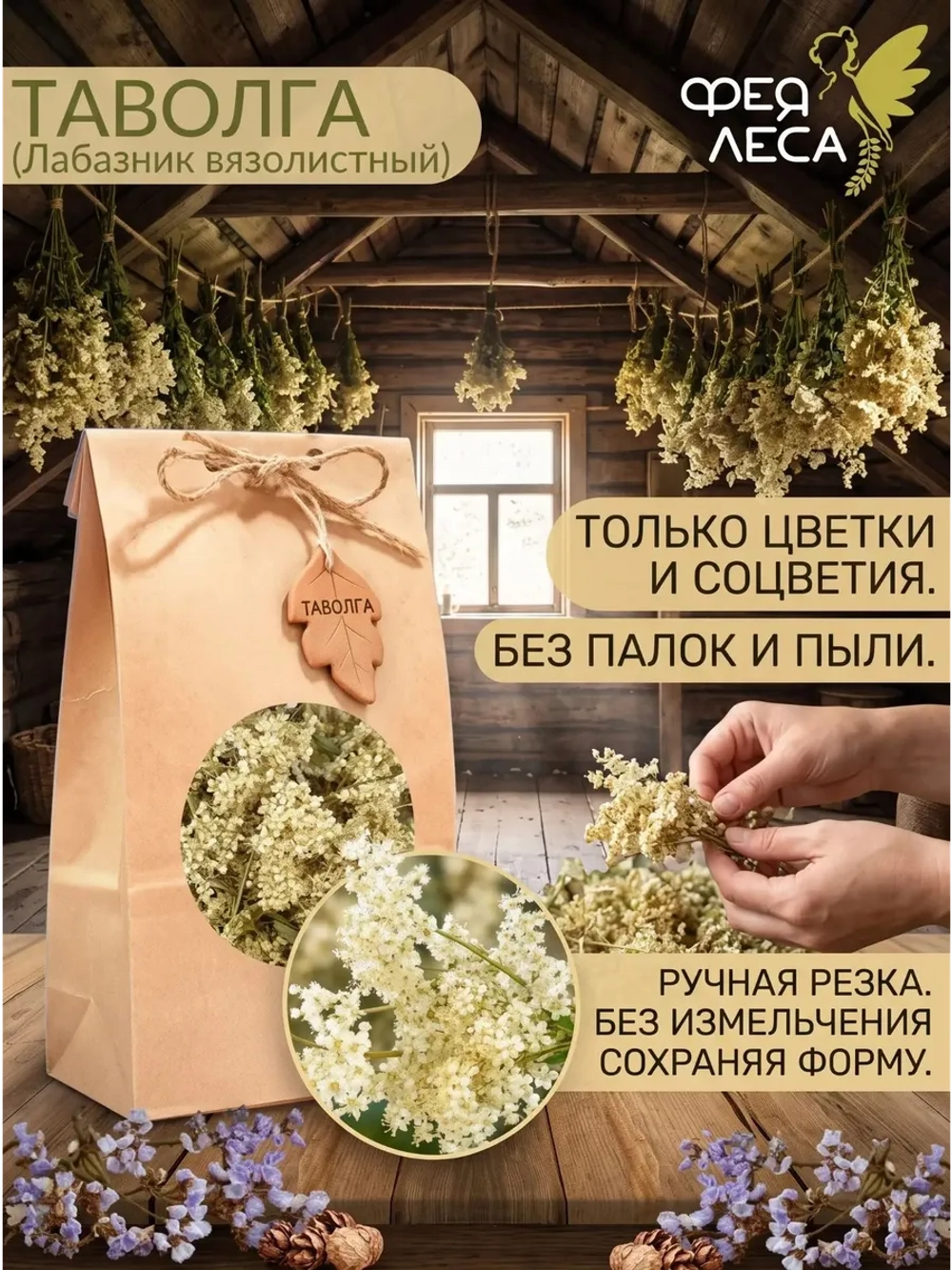 Таволга соцветия для здоровья и творчества