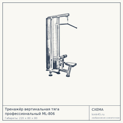 Тренажёр вертикальная тяга профессиональный ML-806 — от 164 000 ₽