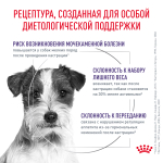 Royal Canin Neutered Adult Small Dogs Ньютрид Эдалт Смол Догз Корм сухой для взрослых стерилизованных кастрированных собак мелких пород 3,5кг
